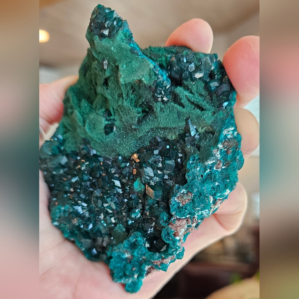 RARE Quality Large Dioptase W/ Malachite And A Bit Of Shattuckite! Stunning! - Picture 3 of 10